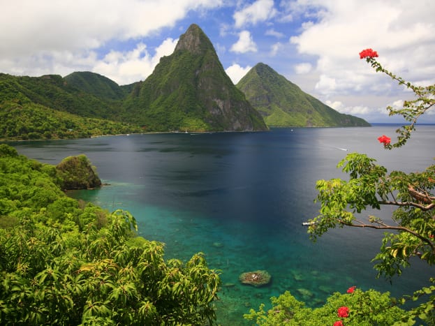 pitons-flower.jpg